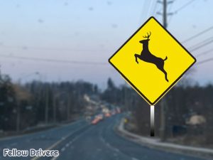 Deer crossing road sign